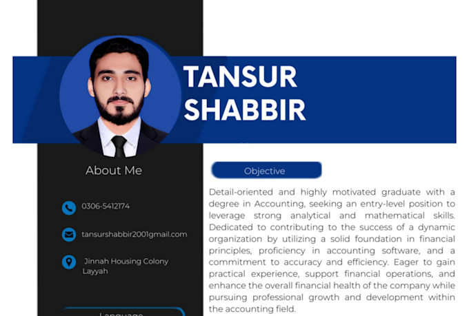 offer professional resume writing, cover letter,  linkedin